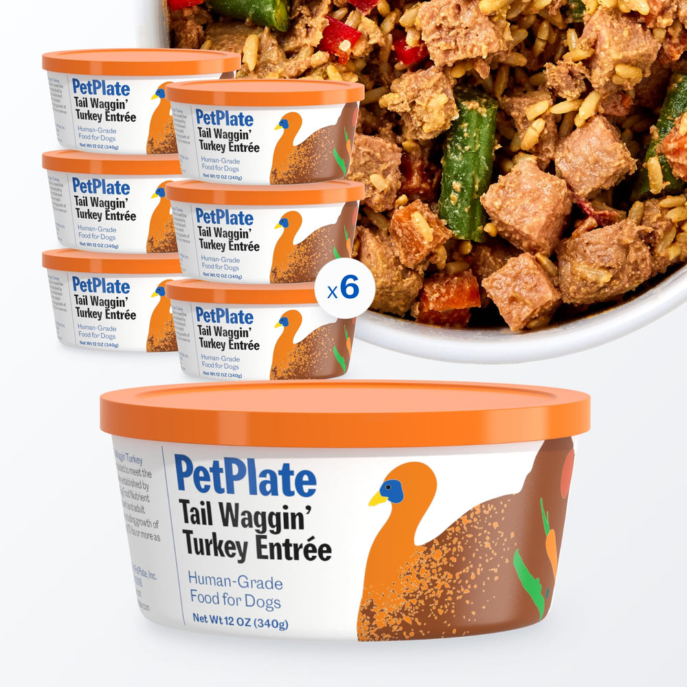 PetPlate Entree Dinde — tub congélé préserve nutriments et fraîcheur.