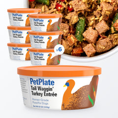 PetPlate Entree Dinde — tub congélé préserve nutriments et fraîcheur.