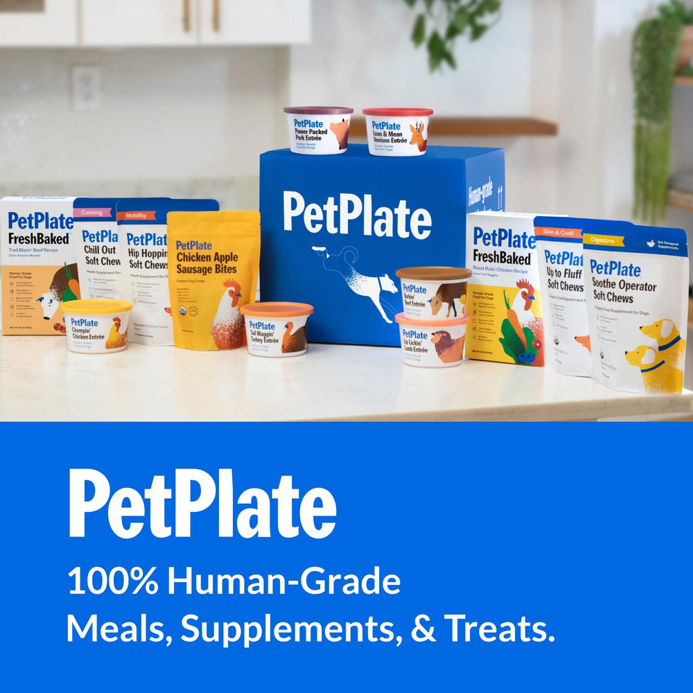 PetPlate usage quotidien chien - récompense saine et pratique.