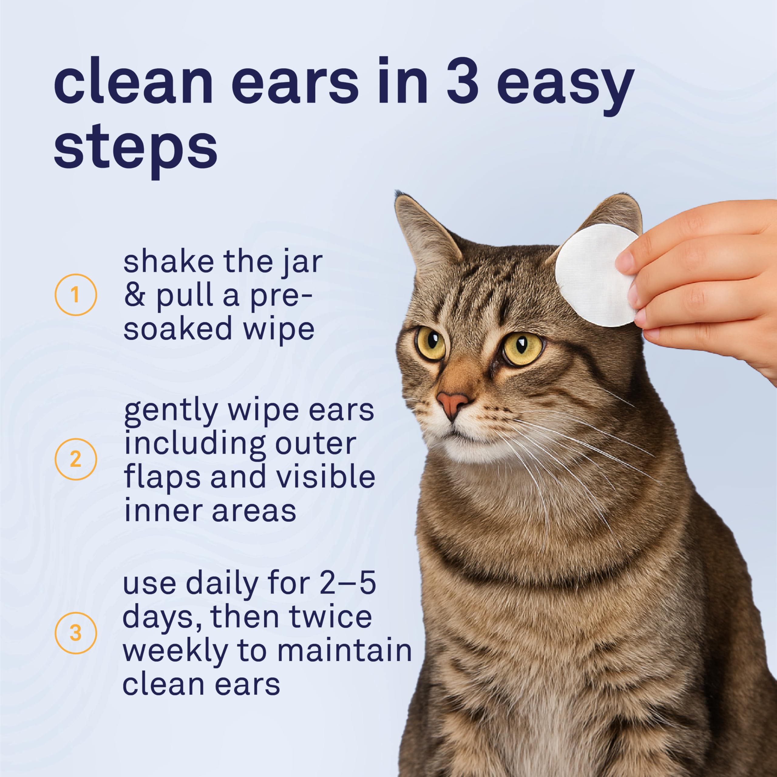 Confort du chat lors du nettoyage des oreilles avec Petpost