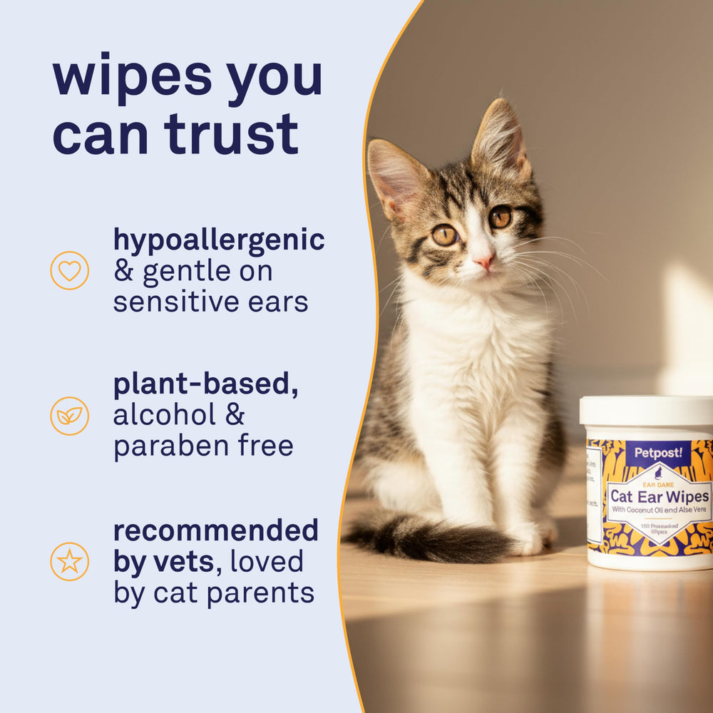 Petpost lingettes oreilles chat, solutions naturelles et sûres