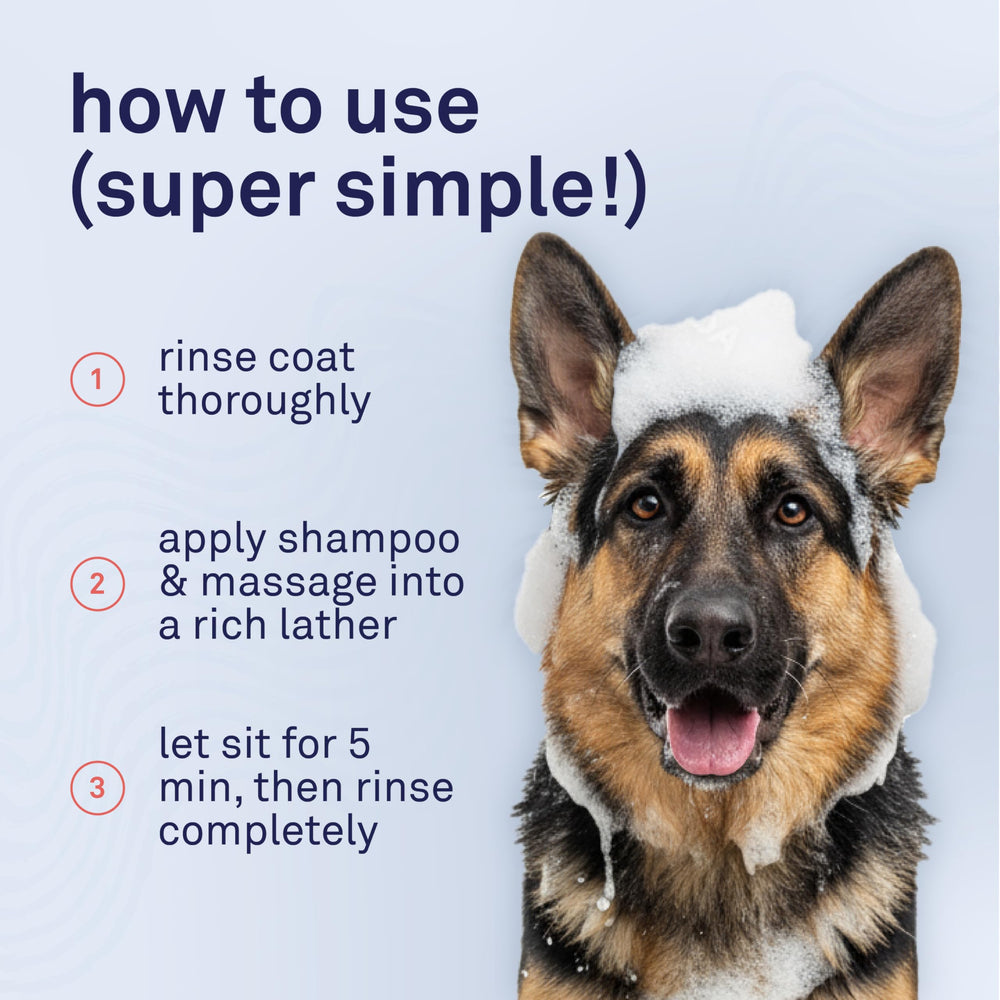 Shampoing Petpost: formulation sûre pour chiens et chats.
