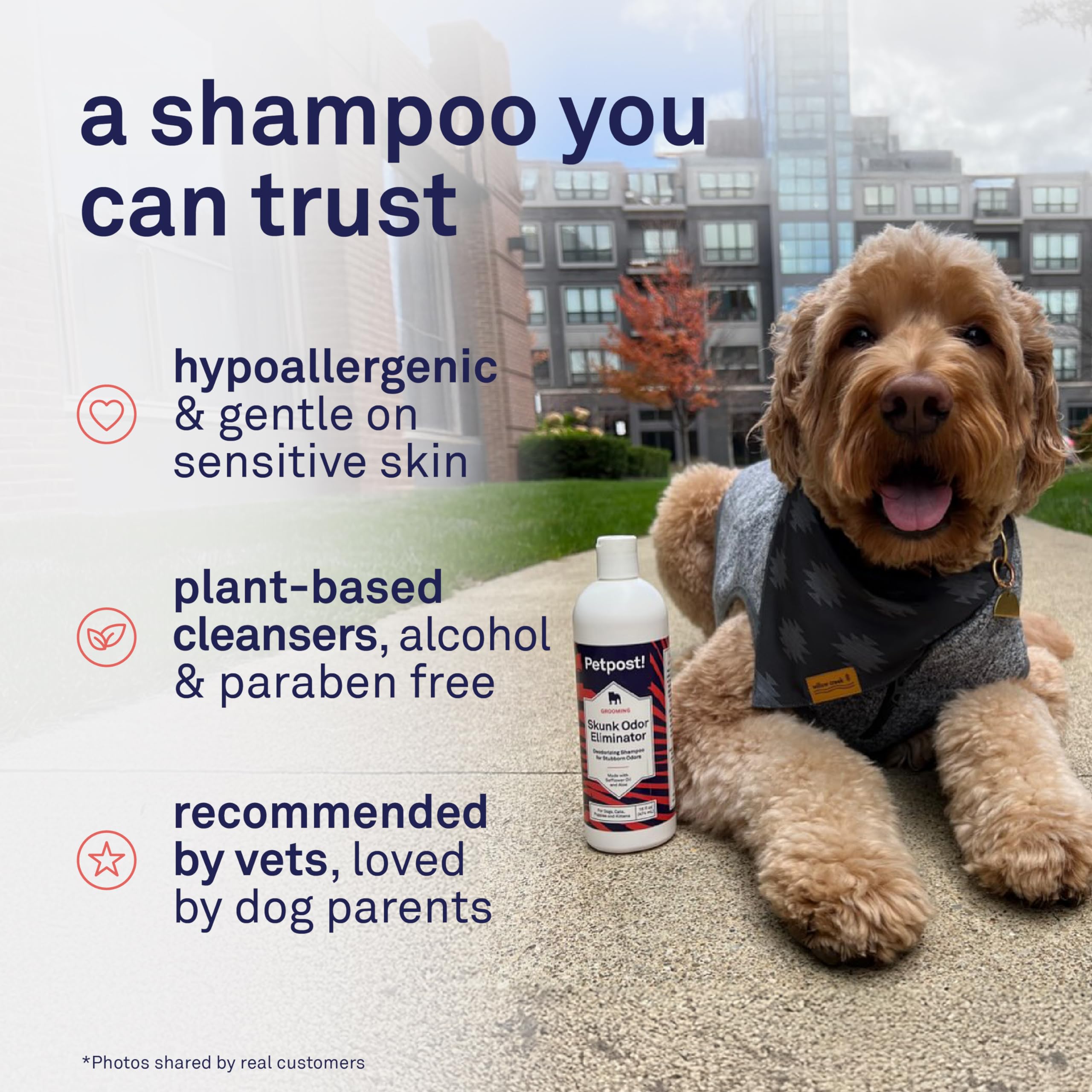 Shampoing Petpost: extrait d'huile de carthame pour nourrir peau et poil.