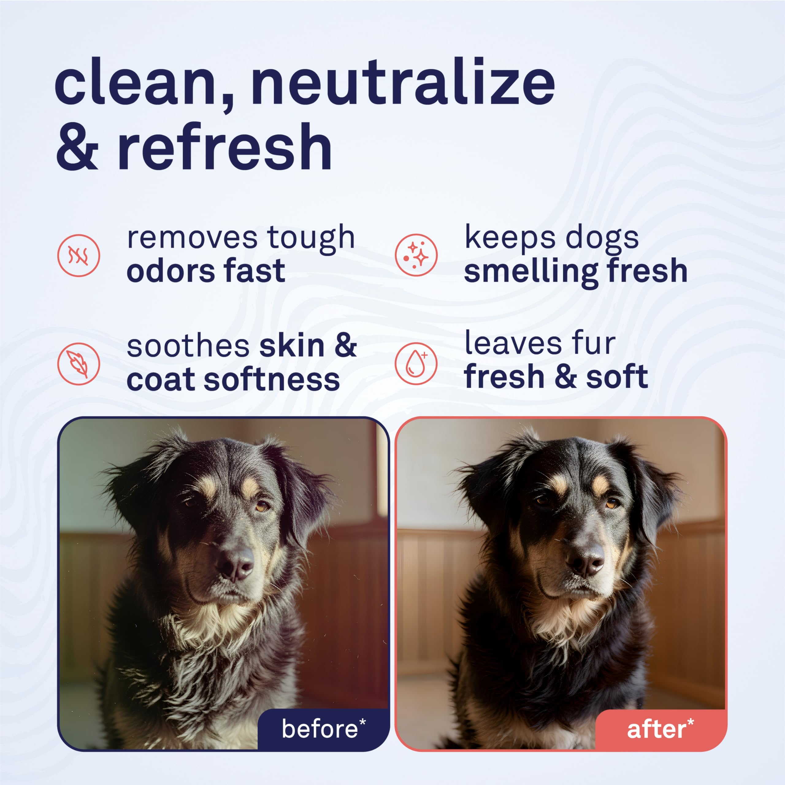 Shampoing Petpost: mousse nettoyante généreuse sur le pelage.
