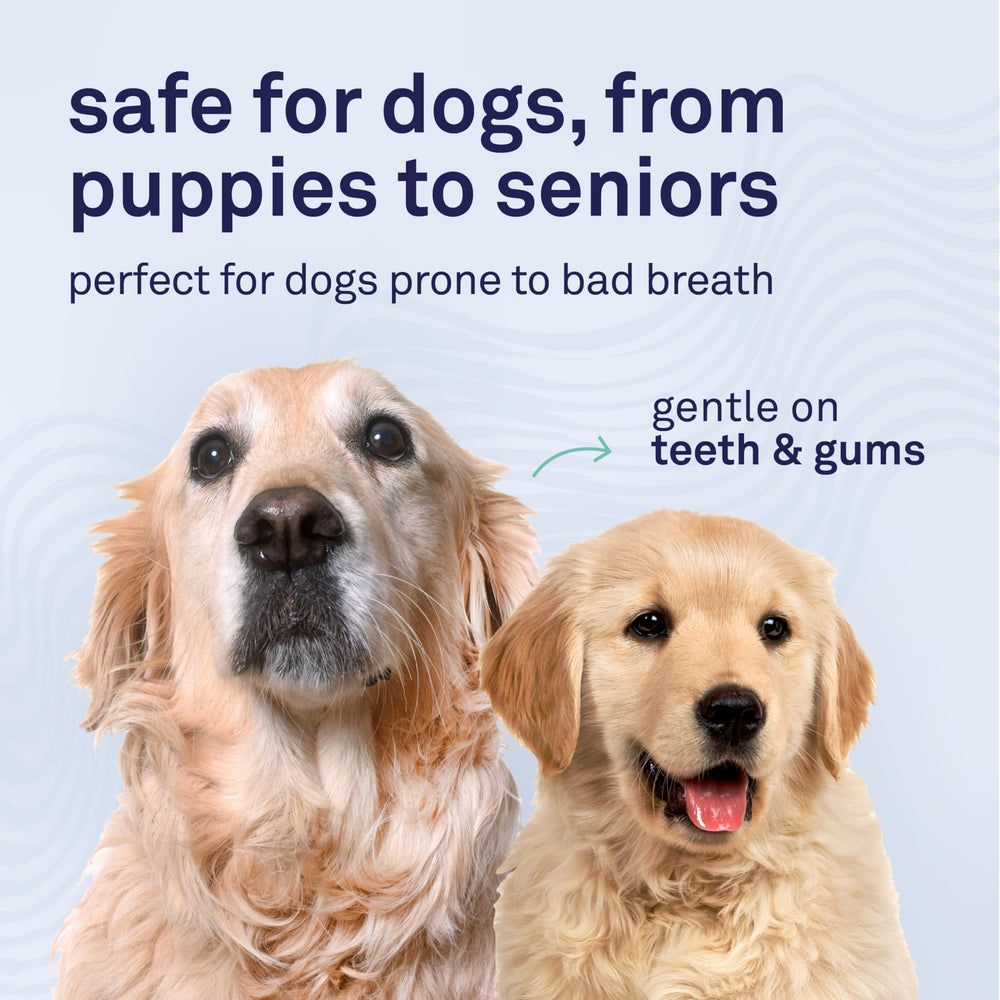 Petpost Utilisation simple: pression dans chaque côté de la bouche du chien.