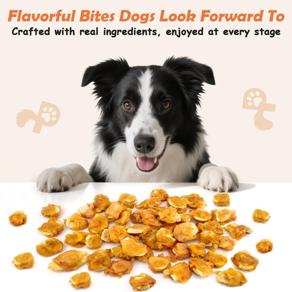 Petit chien dégustant une friandise PETPURO, texture moelleuse adaptée.