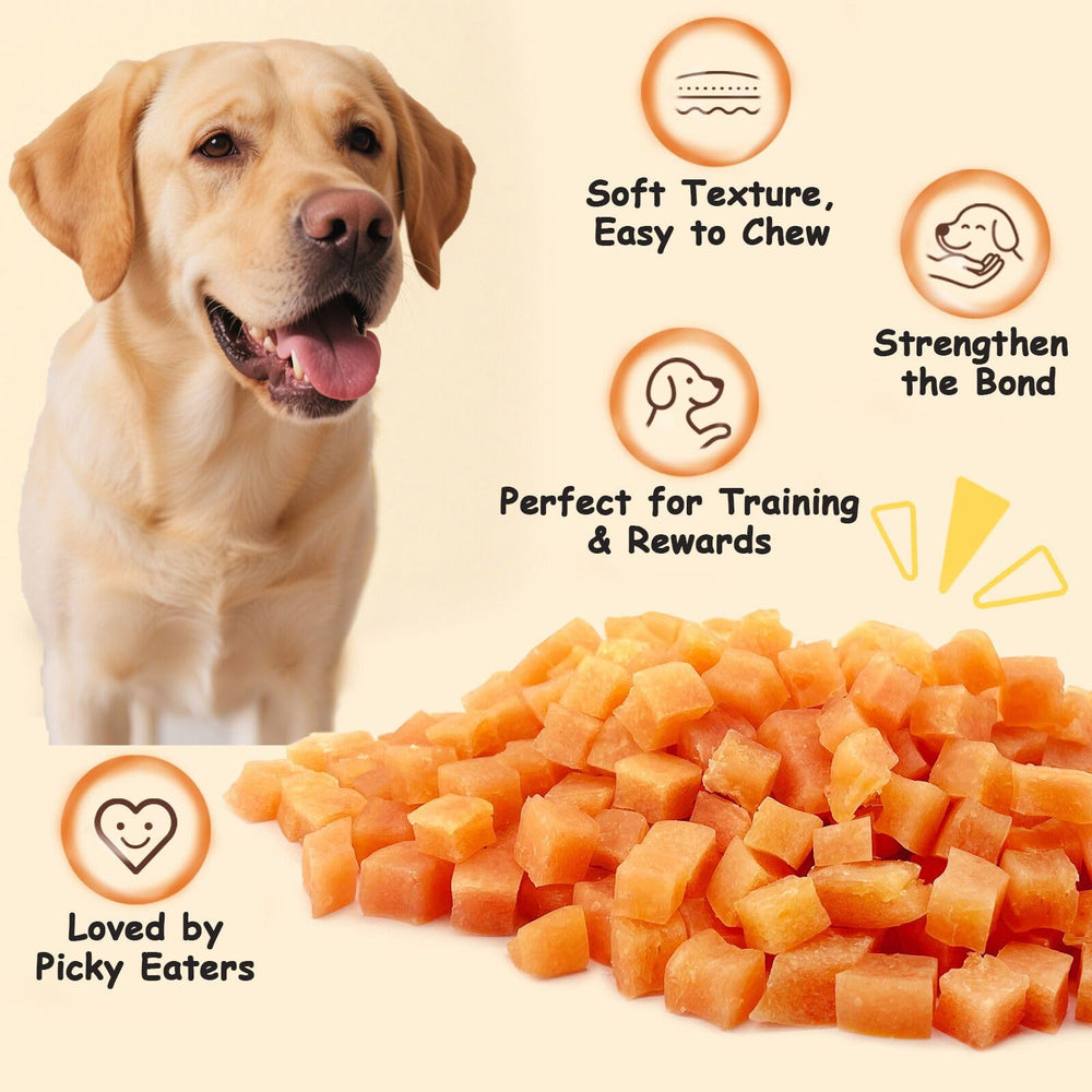 PETPURO texture tendre facilite la mastication pour chiots et petits chiens.