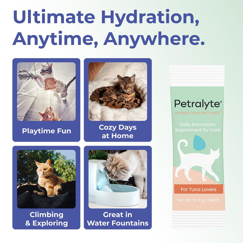 Petralyte saveur thon appréciée par les chats