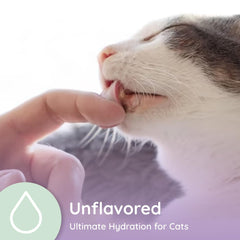 Petralyte eau avec sachets-chat : hydratation pratique au quotidien.