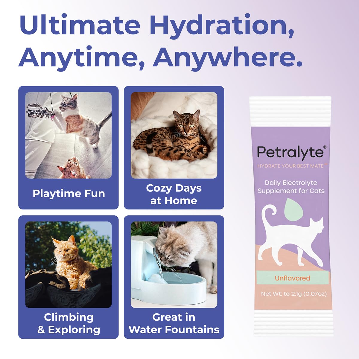 Petralyte emballage-sachets-chat : utilisation simple en déplacement.