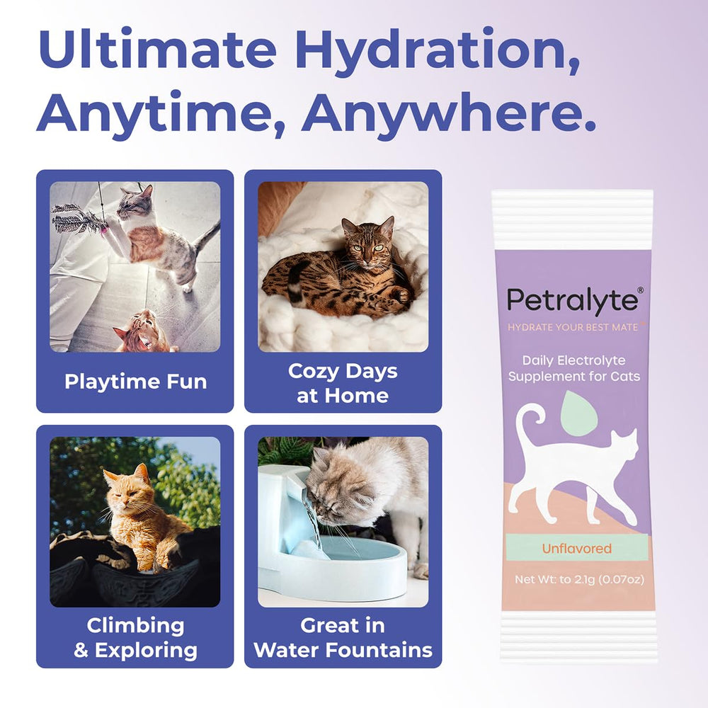 Petralyte emballage-sachets-chat : utilisation simple en déplacement.