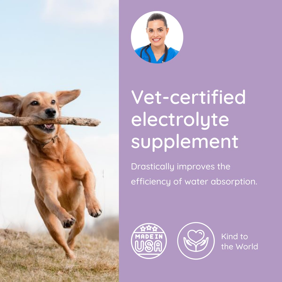 Petralyte sachets saveurs boeuf chien – complément hydratation et goût apprécié.