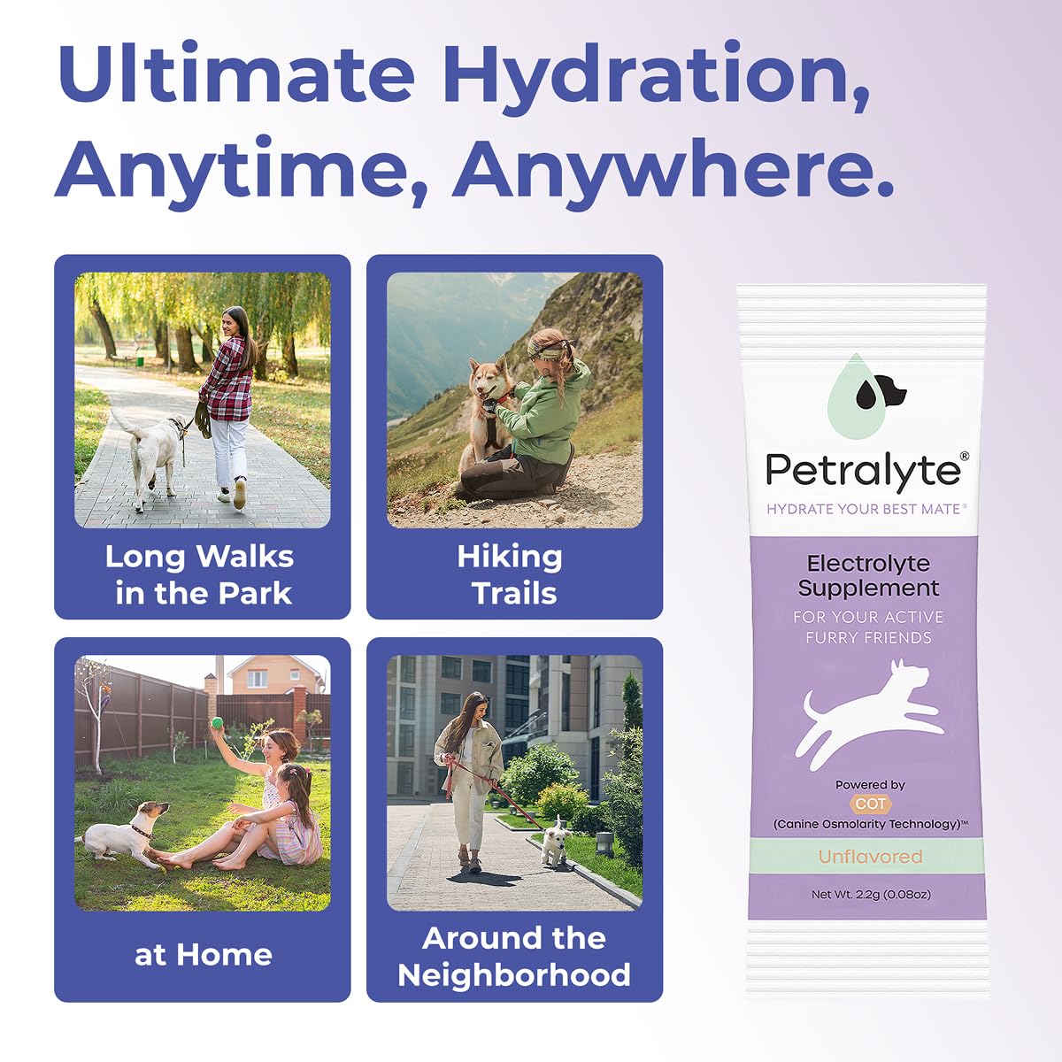 Petralyte sachets saveurs dinde chien – option savoureuse pour chiens actifs.
