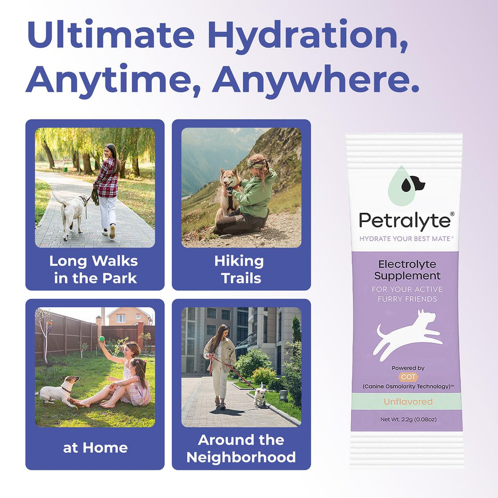Petralyte sachets saveurs dinde chien – option savoureuse pour chiens actifs.