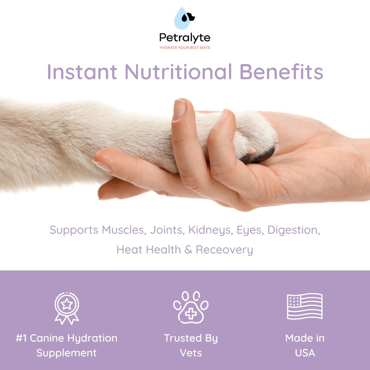 Petralyte sachets saveurs poulet chien – hydratation agréable après activité.