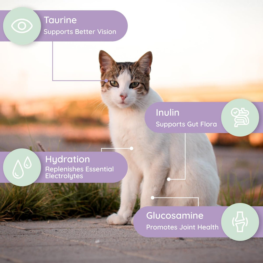 Petralyte taurine-sante-cardiaque-chat : soutien musculaire, cœur et yeux.