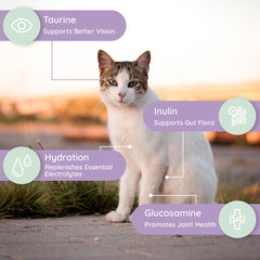Petralyte taurine-sante-cardiaque-chat : soutien musculaire, cœur et yeux.