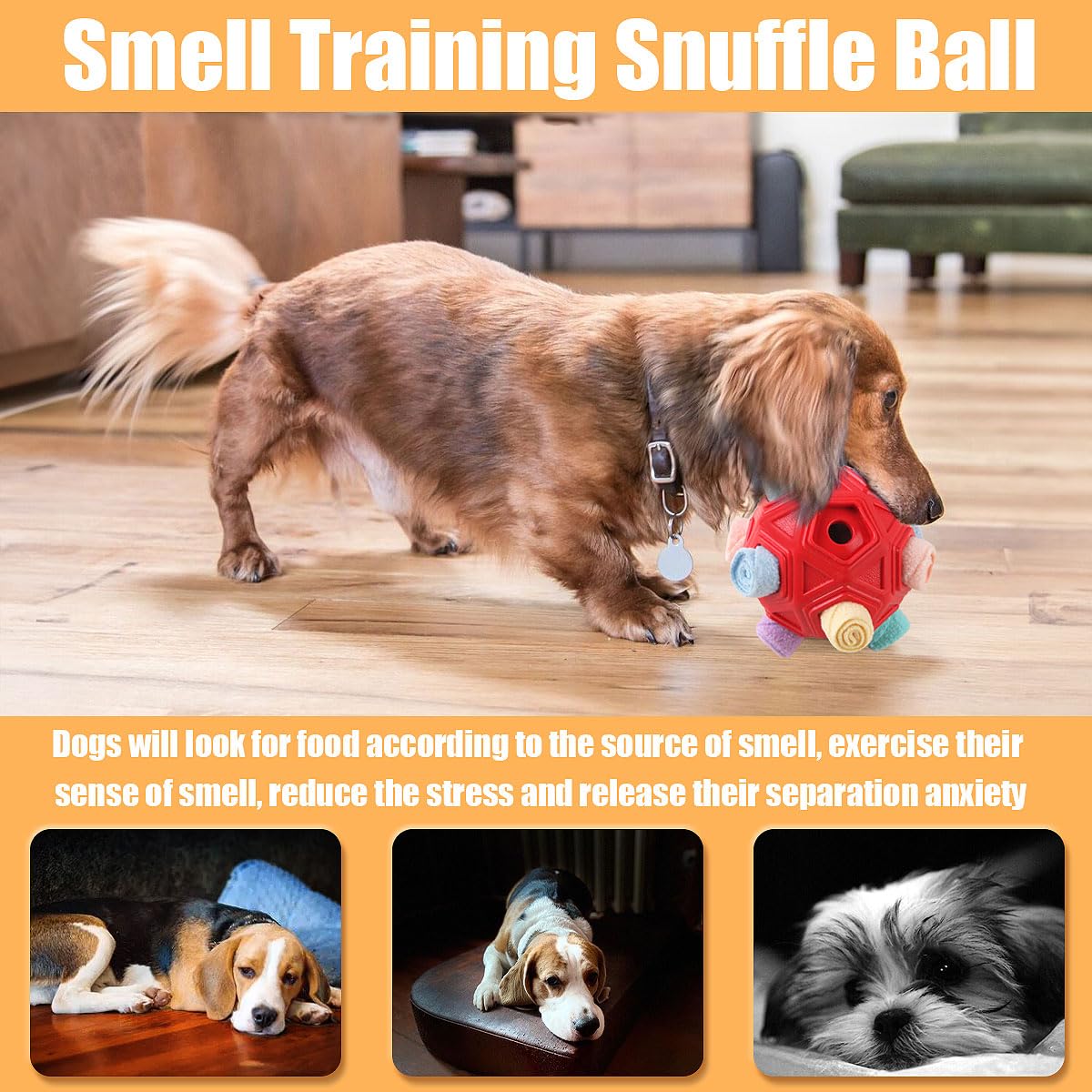 Petration Balle Snuffle Cache Friandises : encouragement du flair lors du jeu.