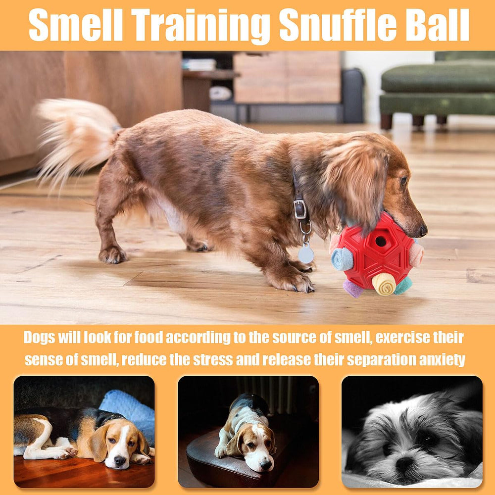 Petration Balle Snuffle Cache Friandises : encouragement du flair lors du jeu.