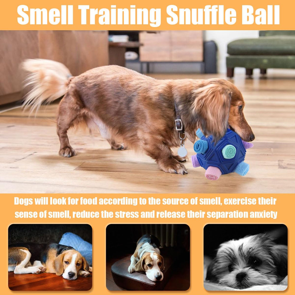 Petration Balle Snuffle bandes durables pour sessions prolongées.