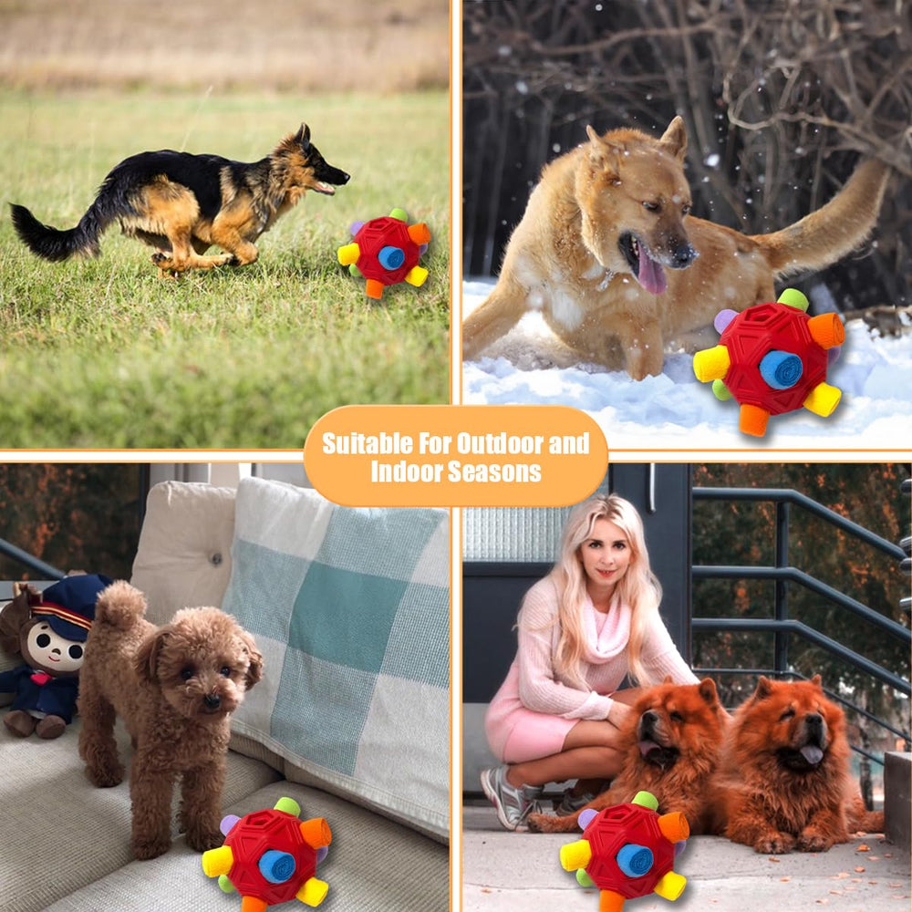 Petration boule-snuffle visuellement colorée attire l'attention du chien