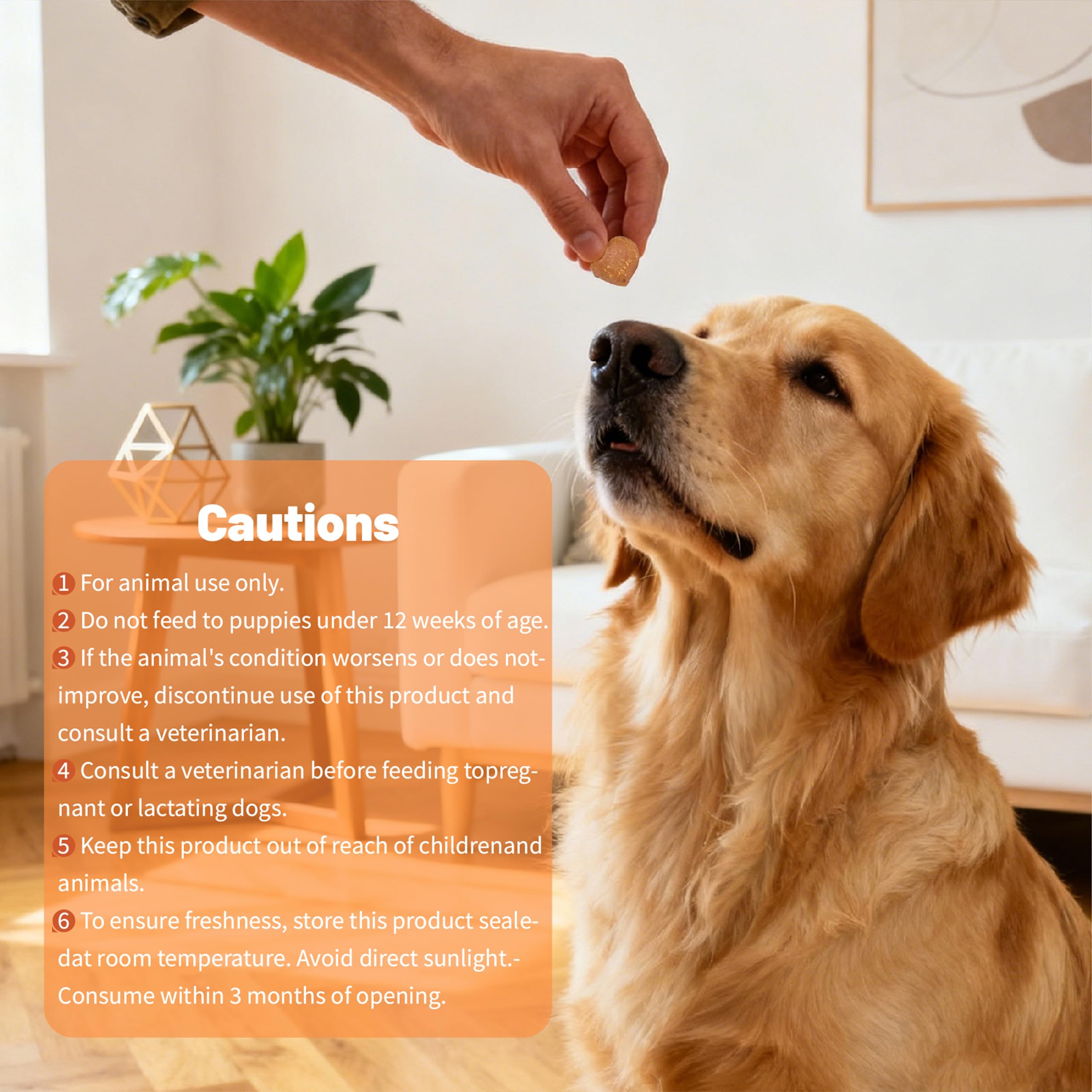 PetrAugnian prébiotiques probiotiques digestion chien.