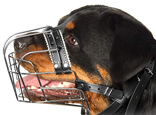 Museau métallique PetriStor avec cage filaire pour rottweiler, ventilation optimale.