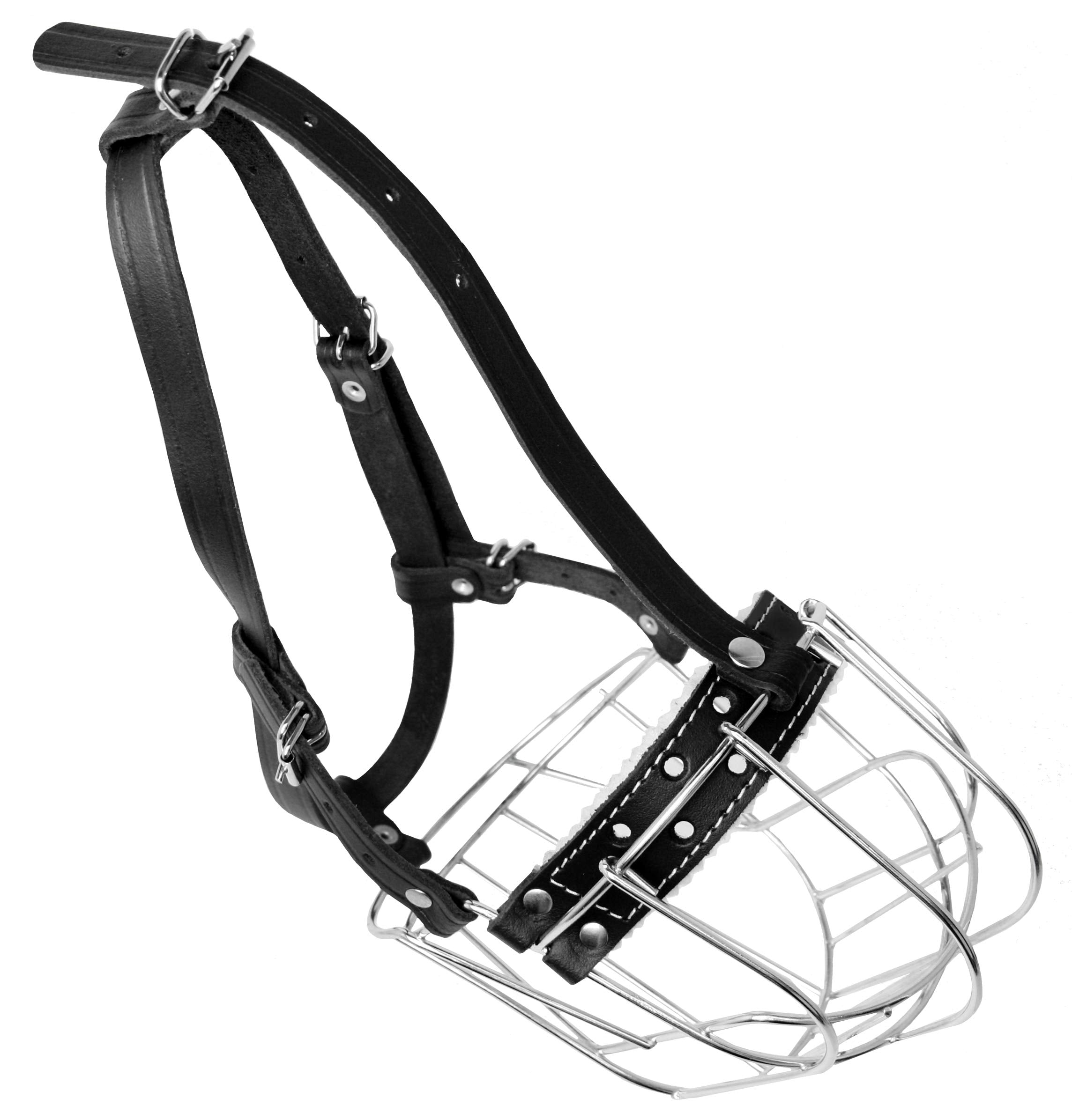 Idéal pour activités extérieures et dressage léger avec PetriStor.