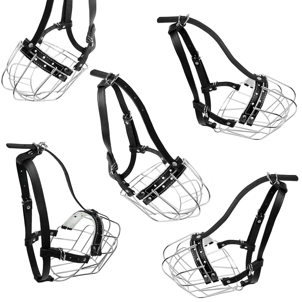 Utilisation pratique PetriStor lors des promenades et grooming.