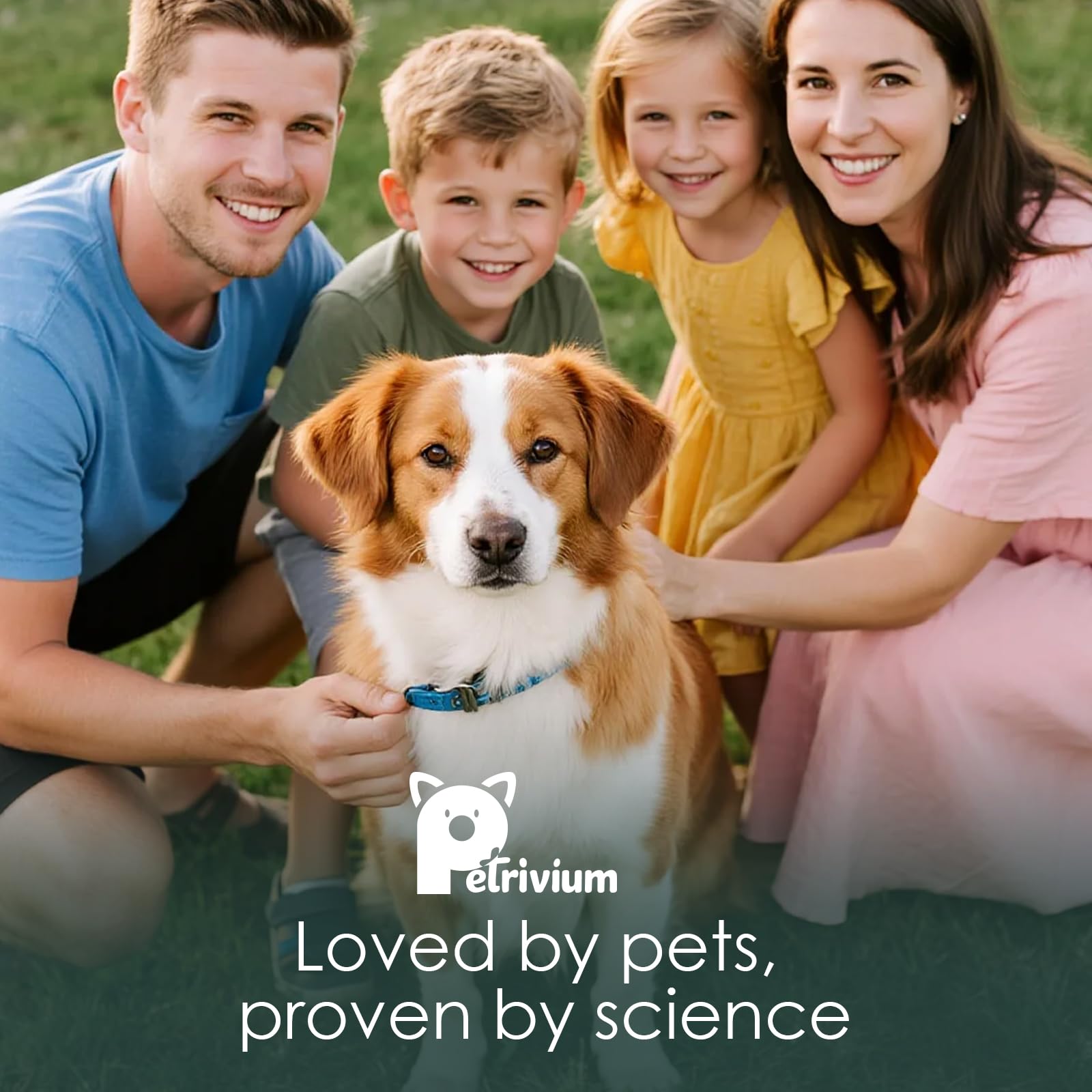 Petrivium Chien Satisfaction Garantie: remboursement si non satisfait