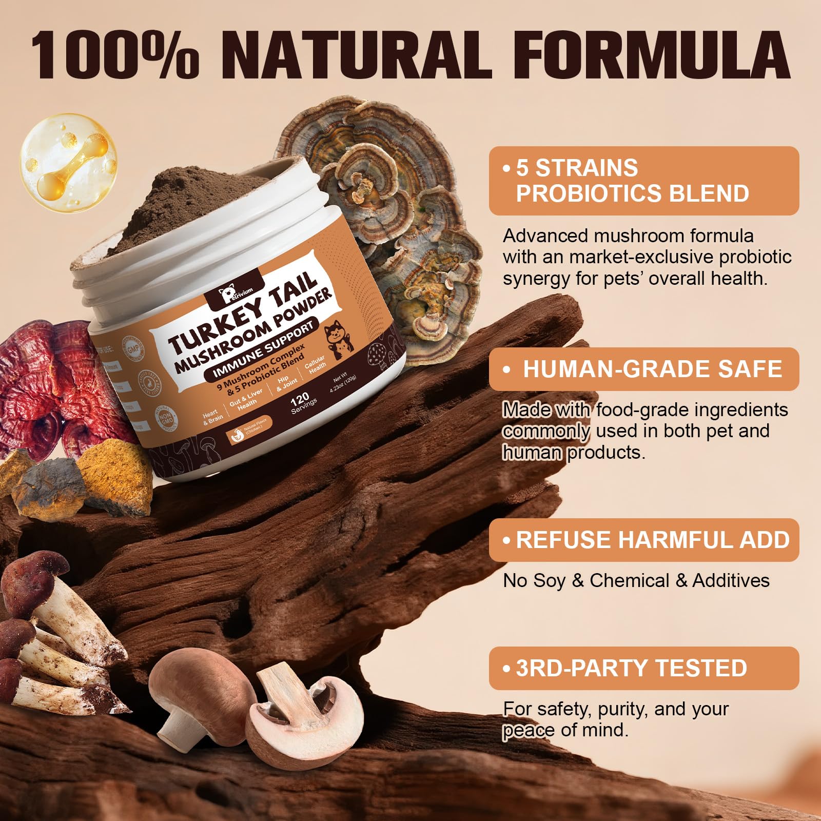 Petrivium: ingrédients champignons et probiotiques pour digestion saine.