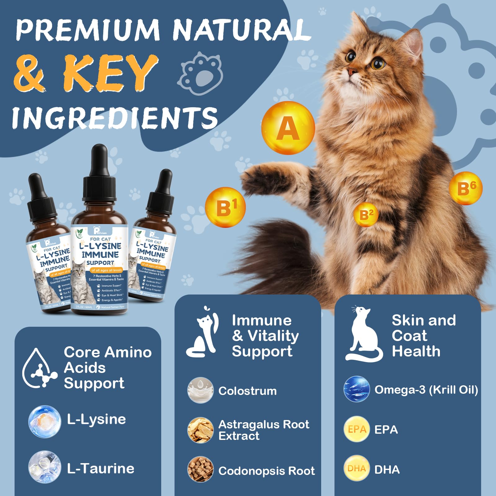 Petrivium Lysine chat-utilisation-quotidienne: usage simple dans eau ou nourriture.