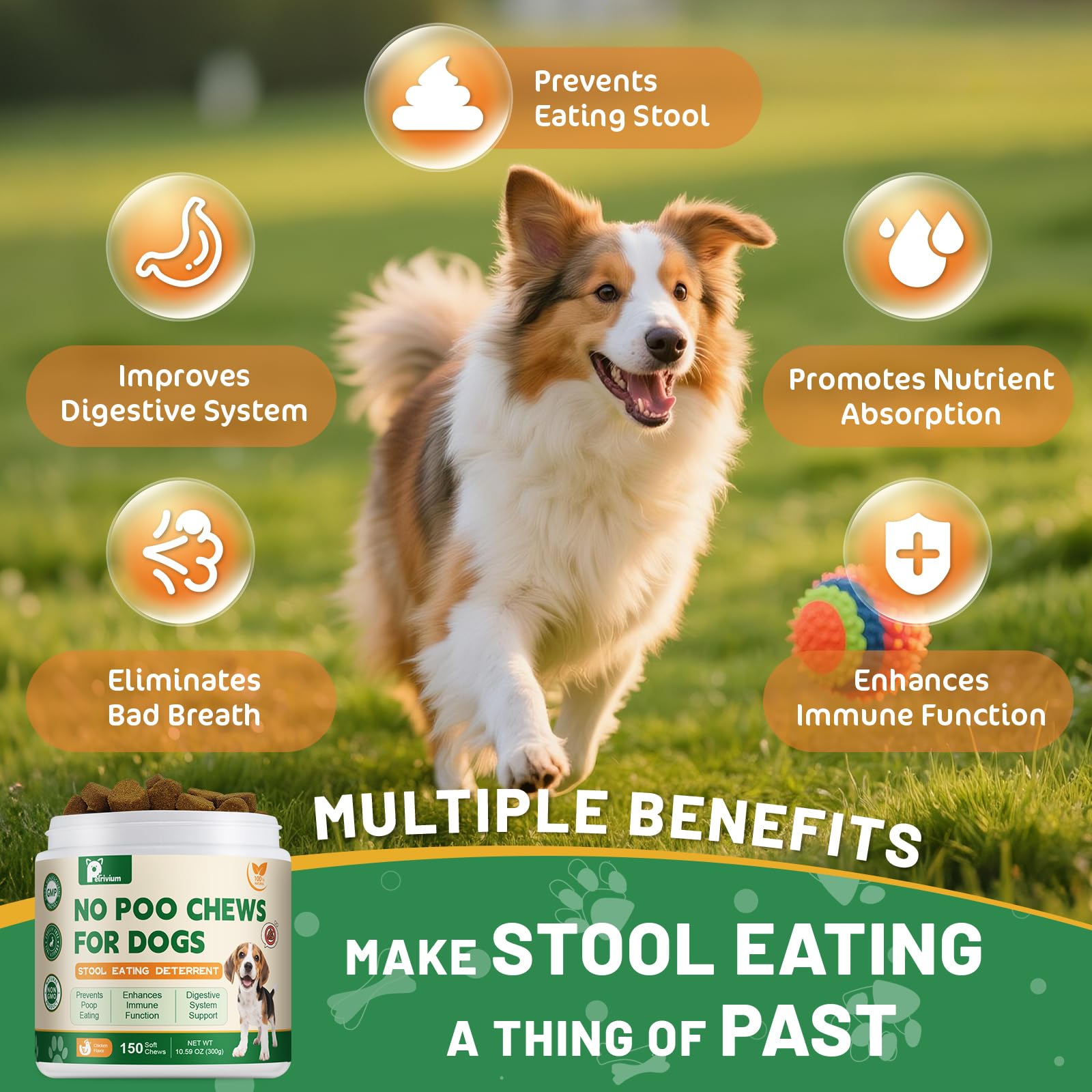 Gommes goût poulet Petrivium No Poo Chews pour chiens.