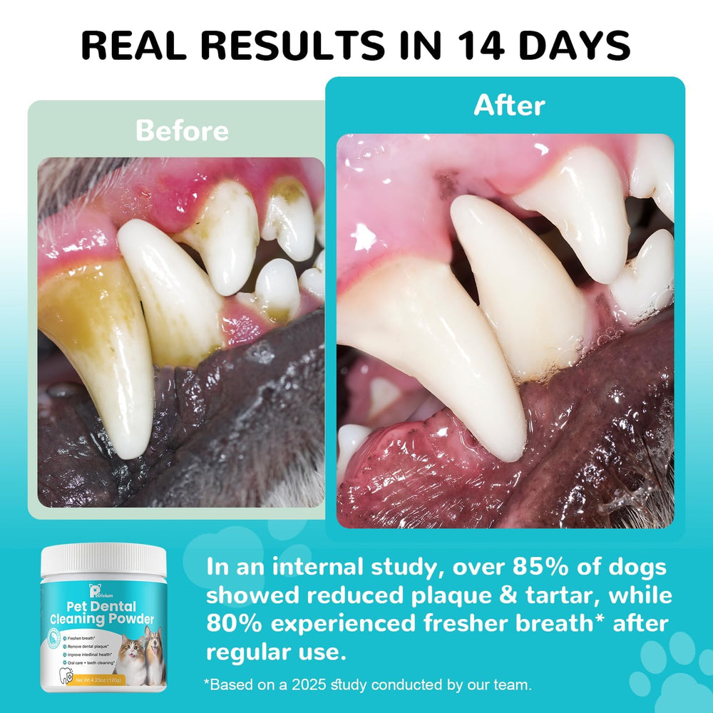 Petrivium poudre dentaire chien – Fourniture pour 60 jours d'hygiène quotidienne.