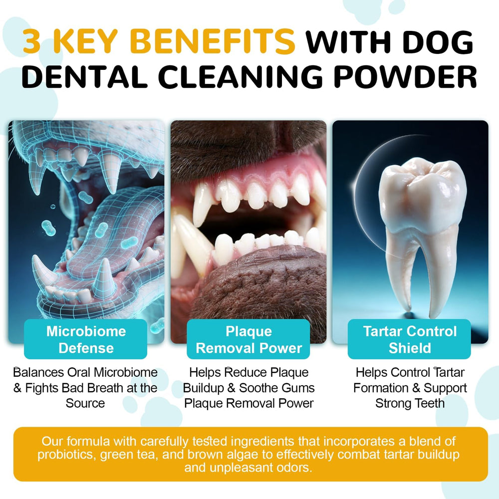 Petrivium poudre dentaire chien – Probiotiques 10 milliards CFU pour équilibre buccal.