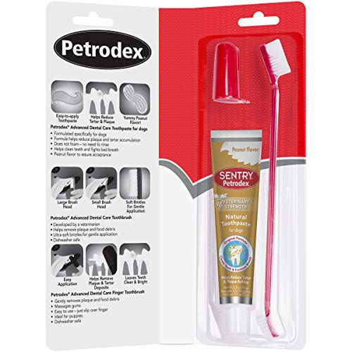 Brosse dentaire pour doigt Petrodex facilitant le brossage.