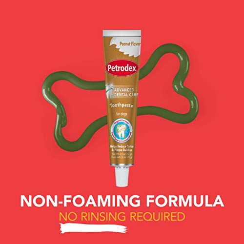 Dentifrice Petrodex utilisé lors du brossage canin.