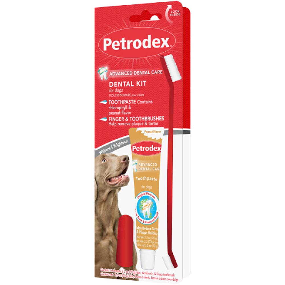 Dentifrice Petrodex goût cacahuète, 2,5 oz, pour hygiène bucco-dentaire.