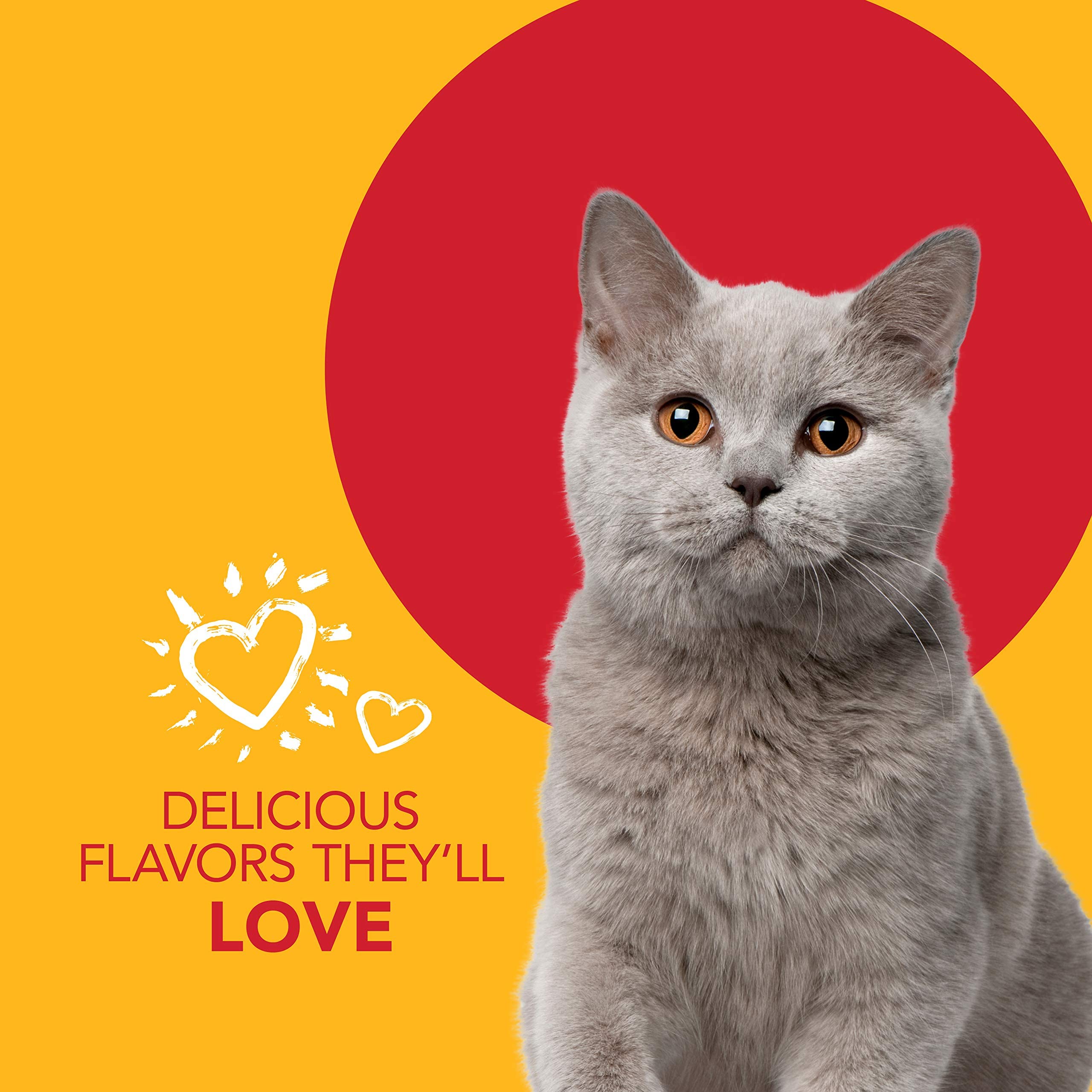 Le Kit Petrodex pour chats aide potentiellement à limiter le tartre.