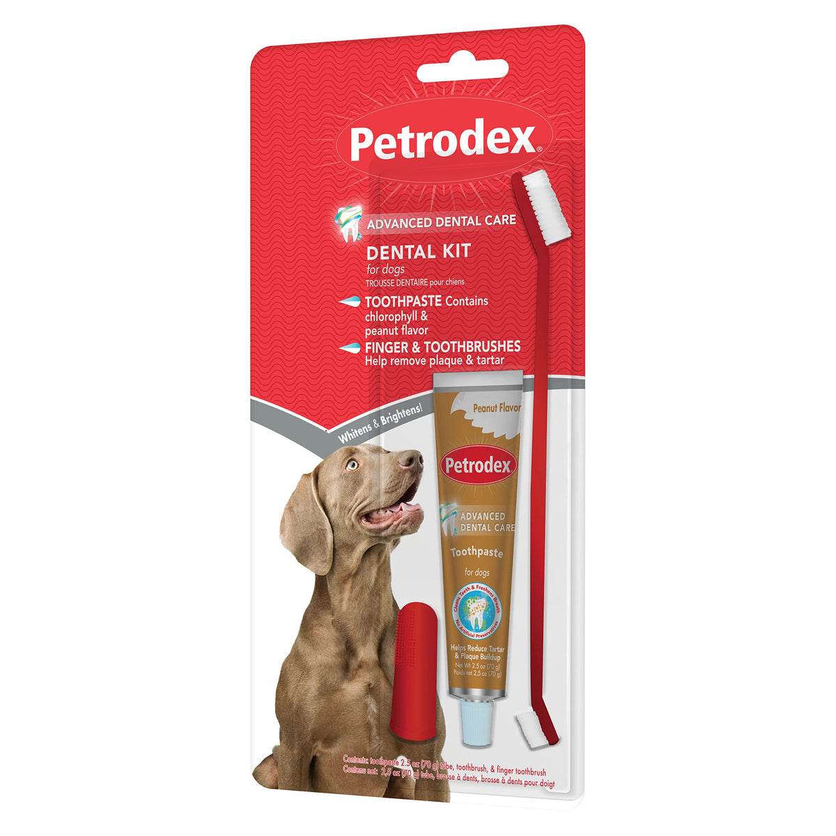 Kit dentaire Petrodex pour chien prêt à l'emploi.