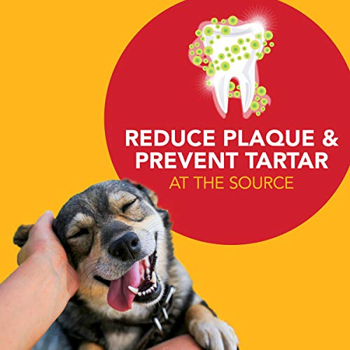 Haleine plus fraîche après le brossage avec Petrodex.