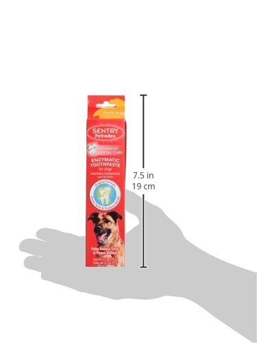 Saveur volaille Petrodex pour chiens, facilite l'acceptation lors du brossage