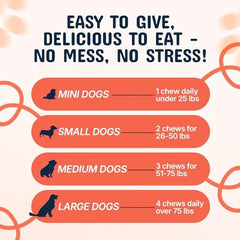 gros plan des champignons chaga et reishi – Pets Are Kids Too.