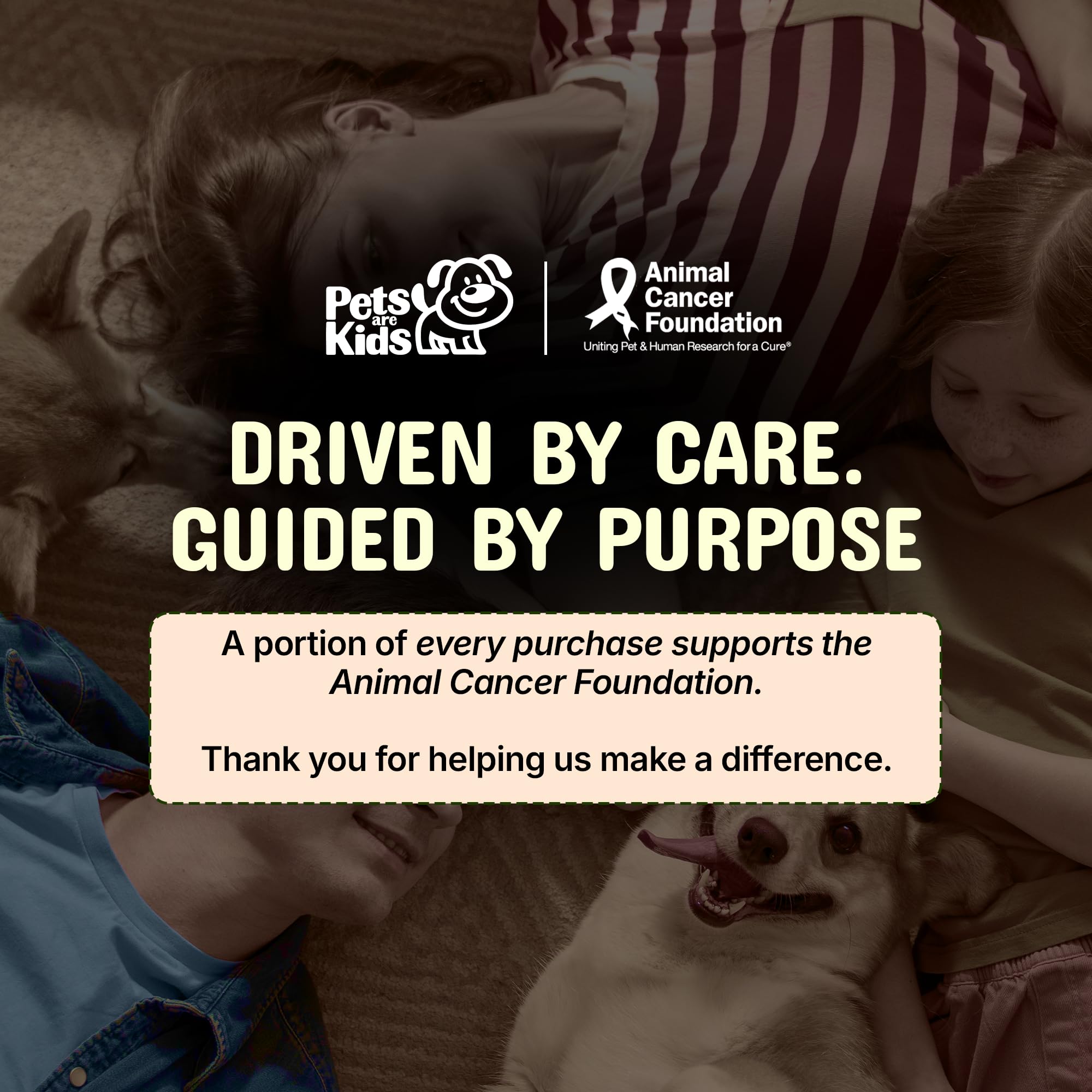 Pets Are Kids Too — soutien immunitaire potentiel pour chiens sensibles.