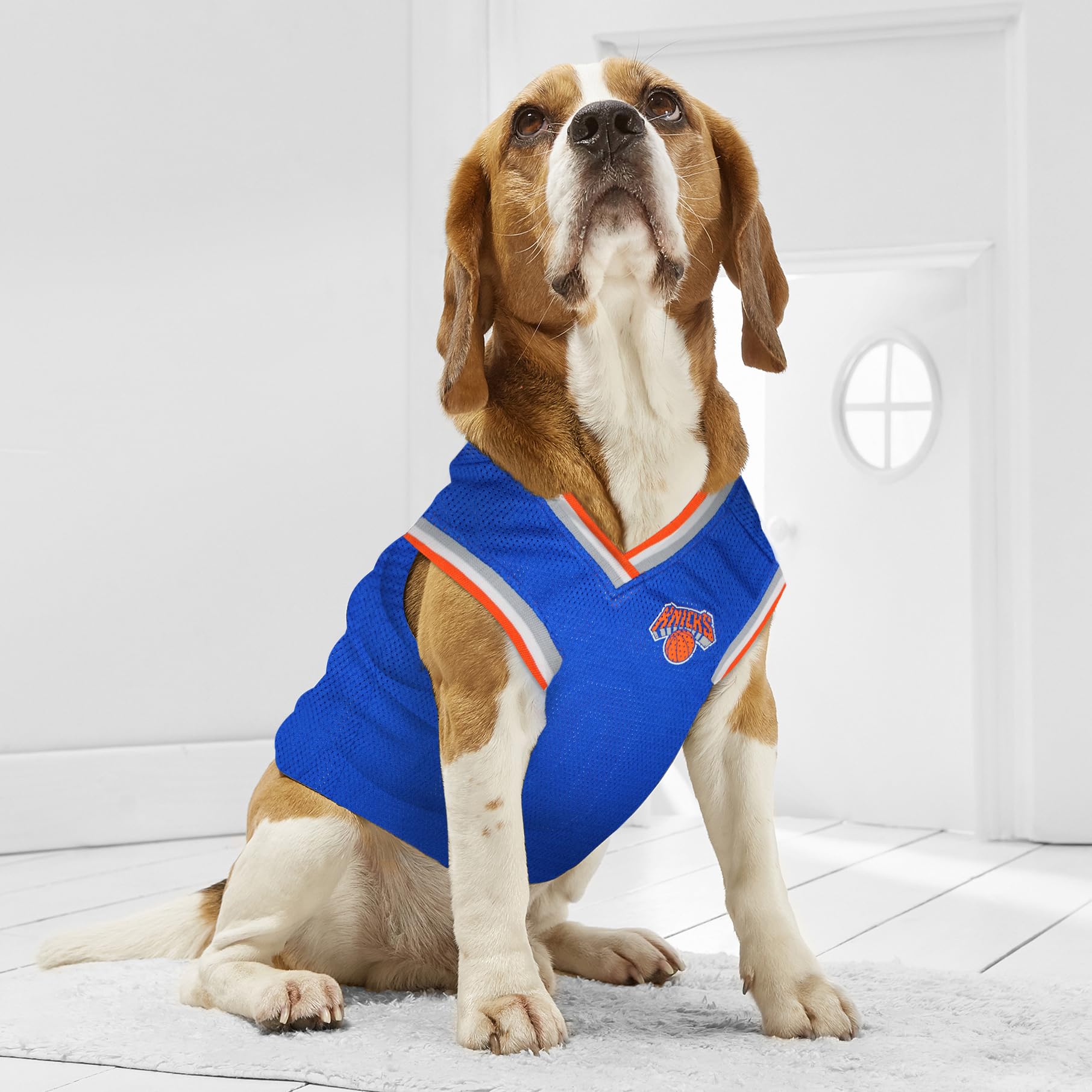 Jock tag personnalisable sur le maillot Pets First.