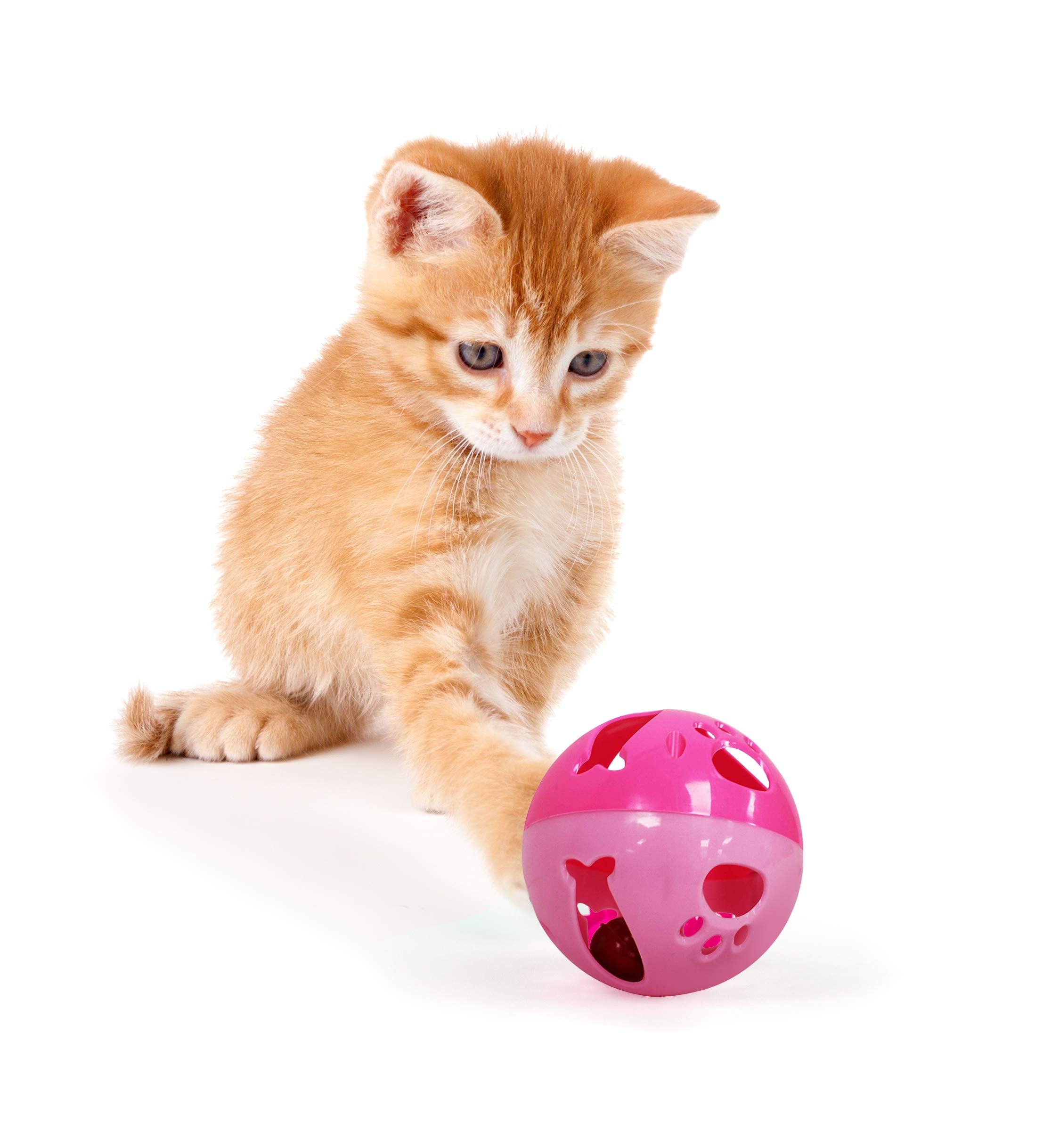 Pets First balle chat grande avec clochette, stimulation ludique quotidienne.