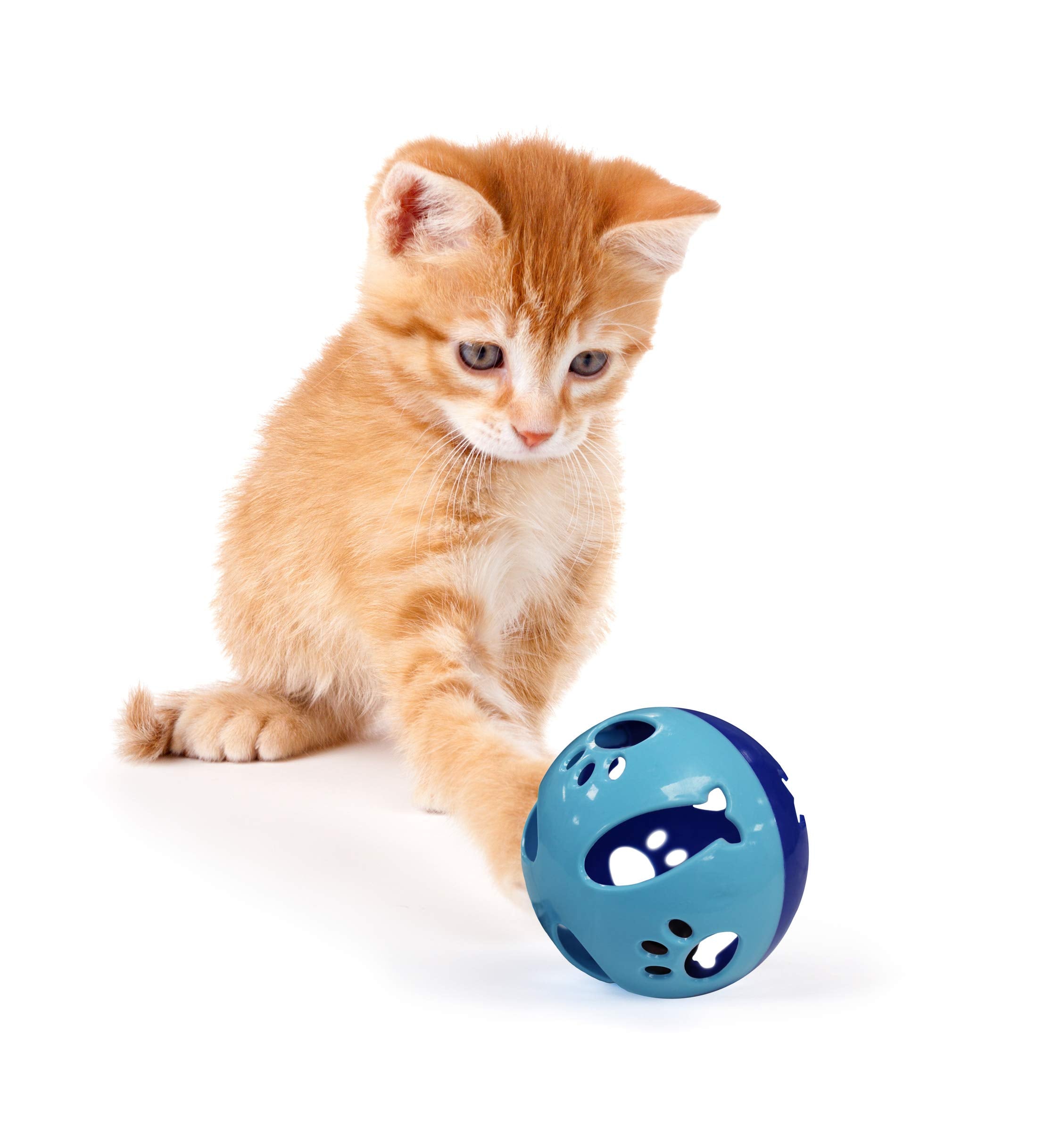 Pets First balle chat grande clochette parfaite pour des sessions de jeu improvisées.