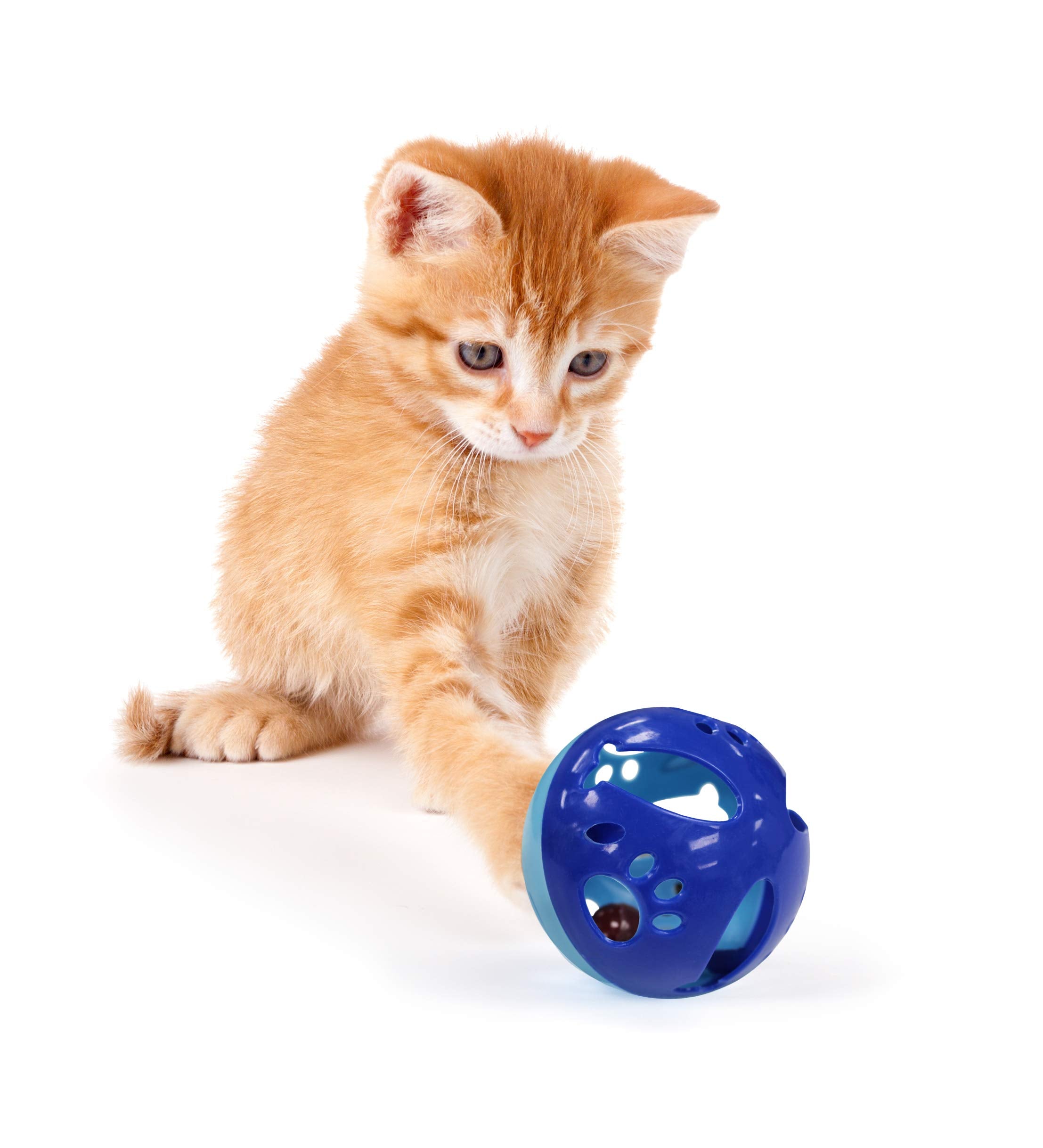 Pets First balle chat grande en mouvement avec clochette, encourage la chasse.