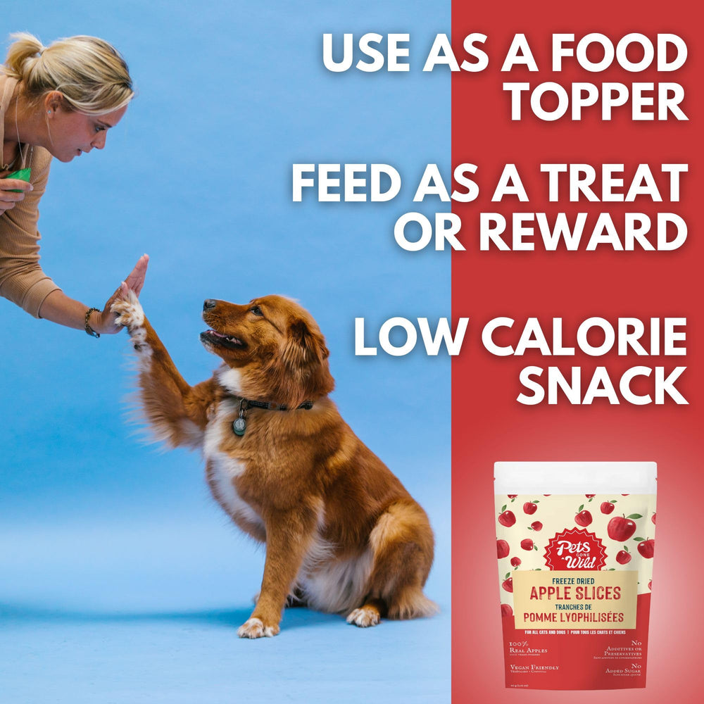 Pets Gone Wild – topper de repas pour stimuler l'appétit du chien.