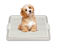 Pets-N-Me porte-tapis-pipi-chien gris, idéal pour l’entraînement intérieur.